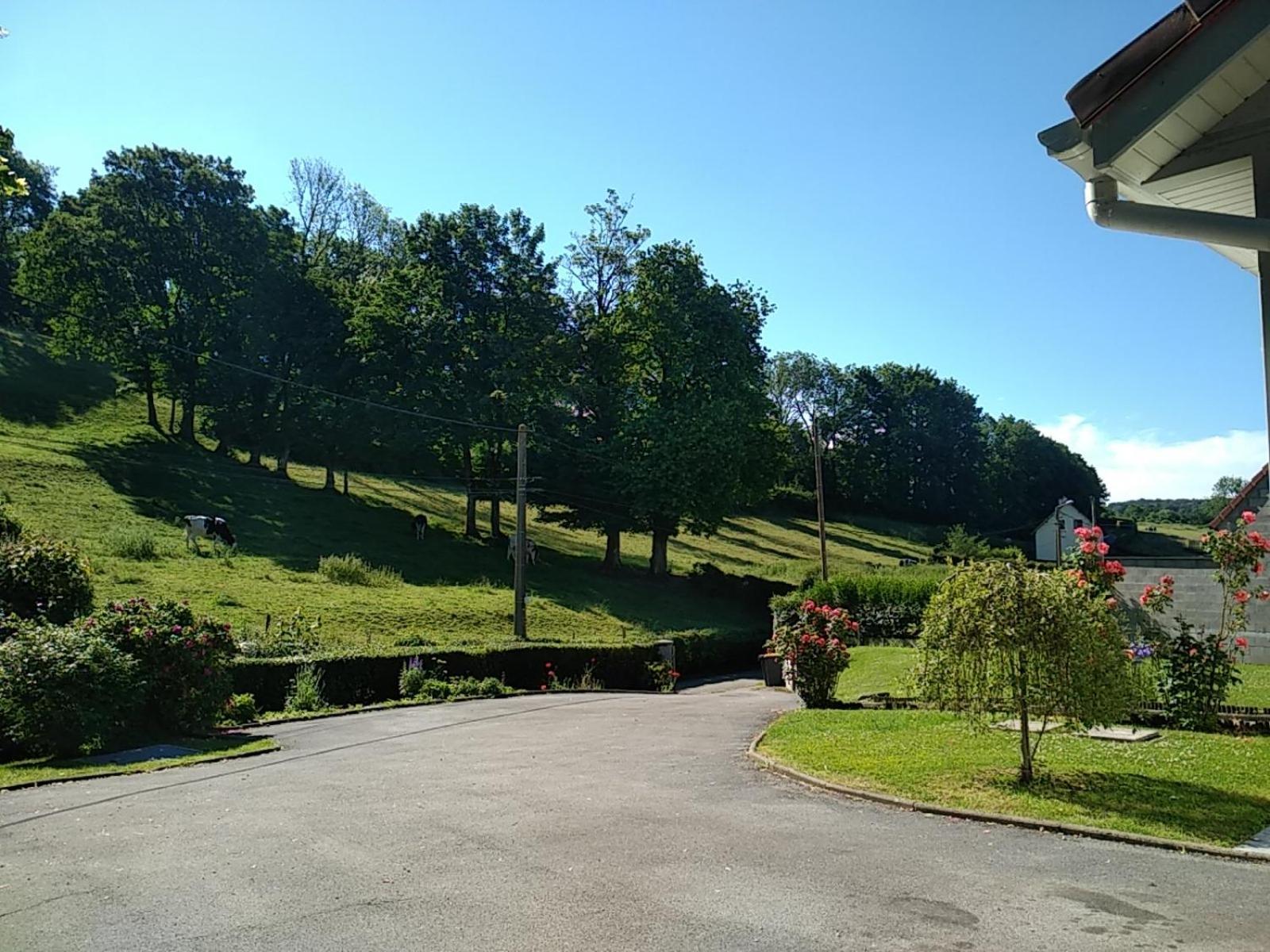 Gite De La Souche Avec Jacuzzi Doudeauville Rom bilde